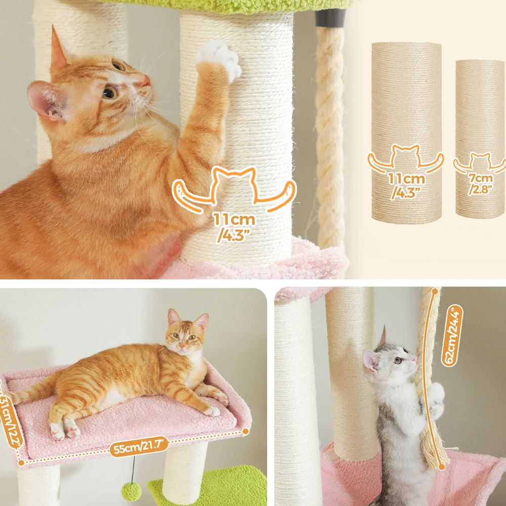 Arbre à chat multi-niveaux robuste