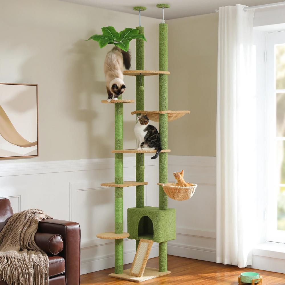 Tour pour chats Cactus Sky â Du sol au plafond