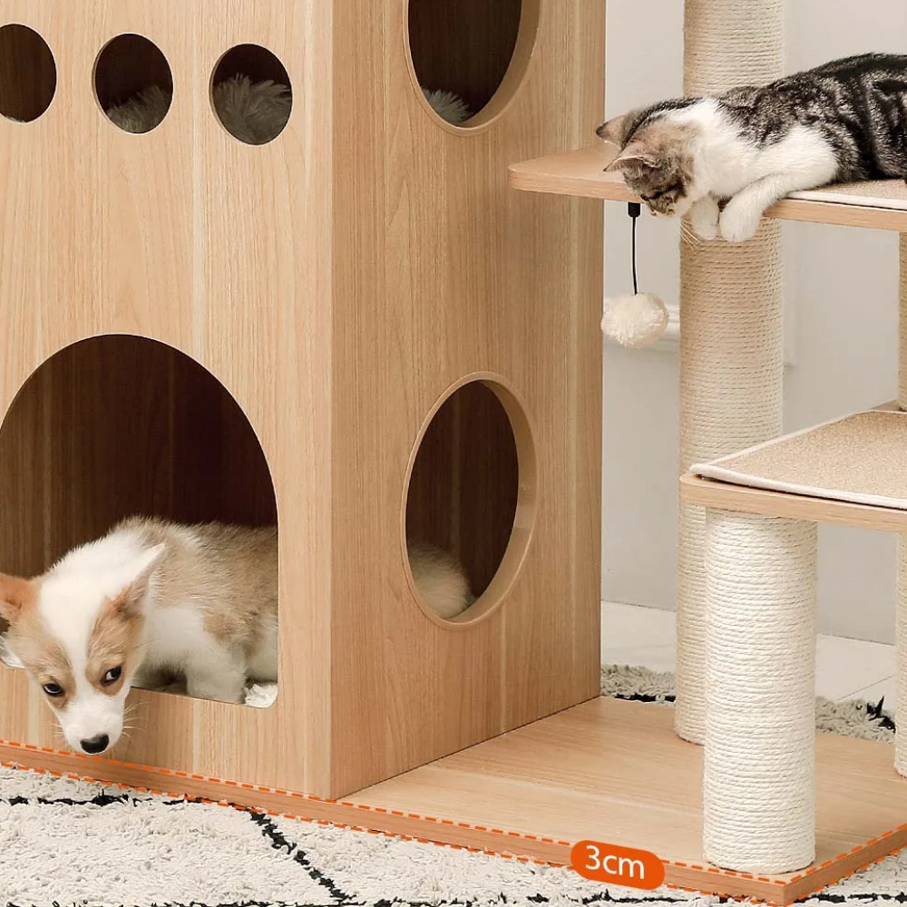 Arbre à Chat Moderne pour Grand Chat