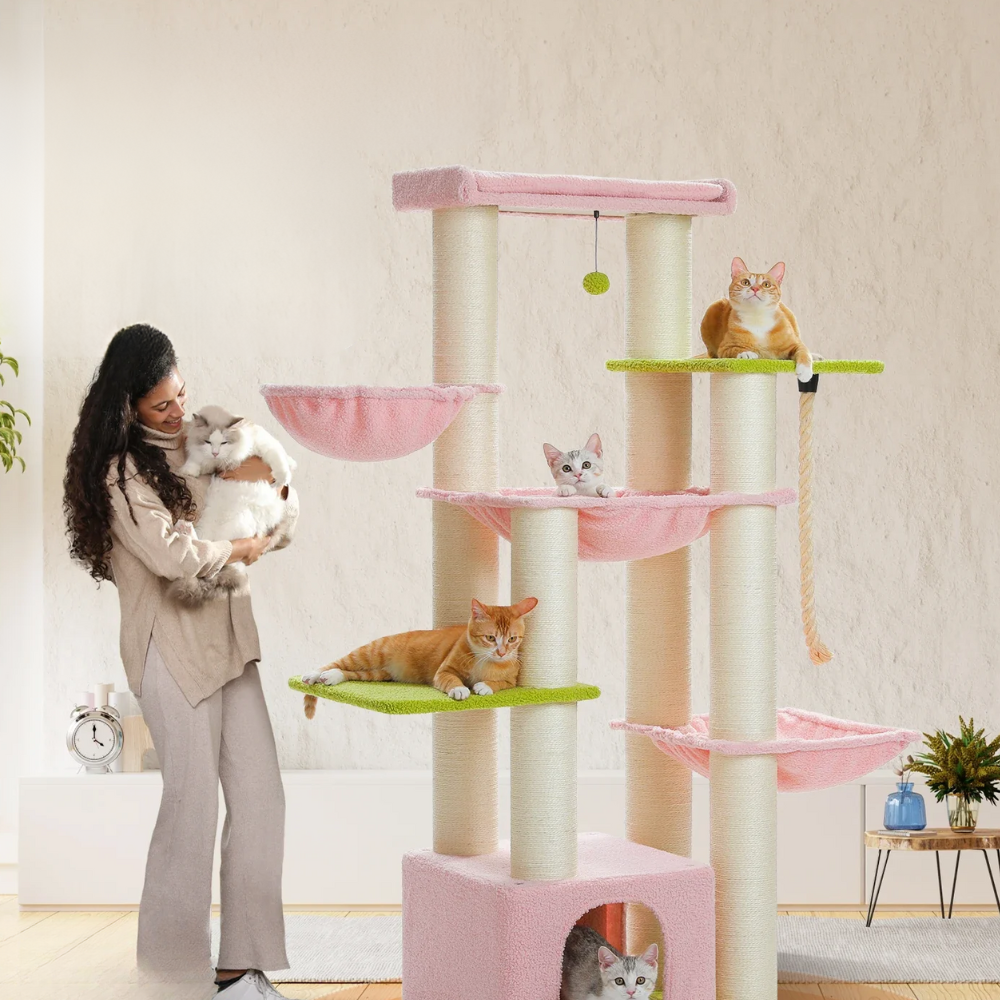 Arbre à chat multi-niveaux robuste