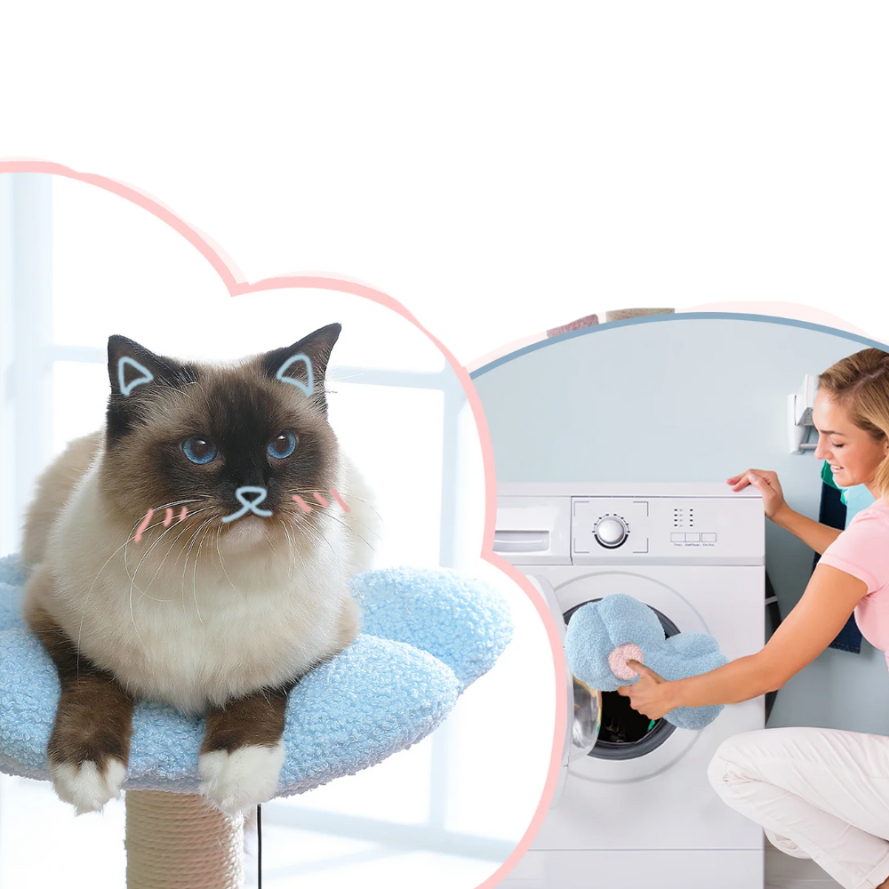 Arbre à chat Fleur Condo Hamac-MeowGriff