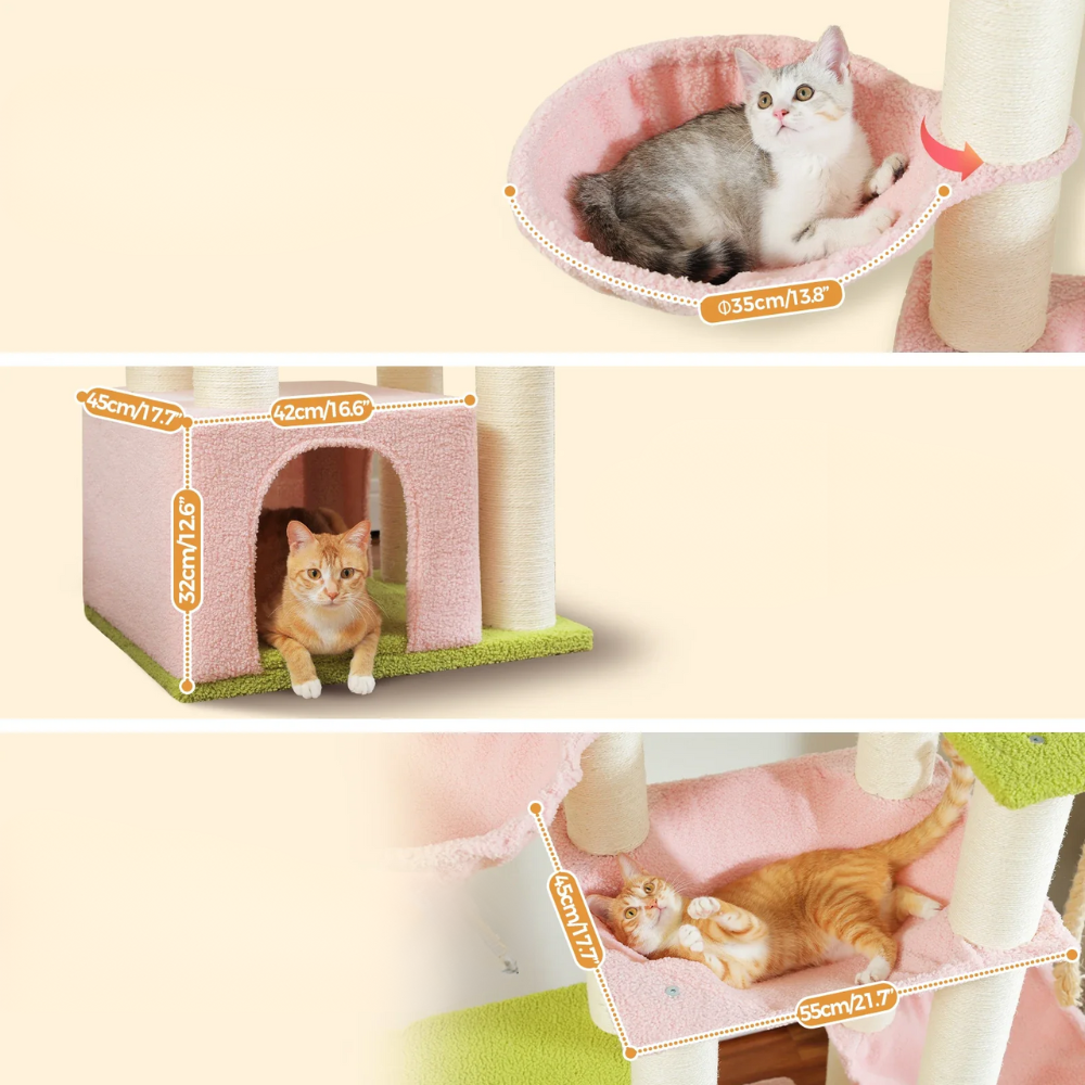 Arbre à chat multi-niveaux robuste