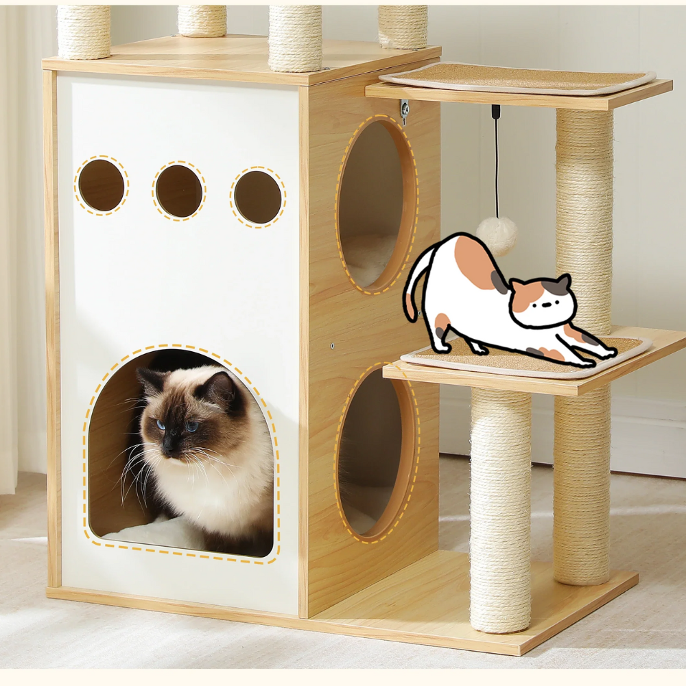 Arbre à Chat Nid Capsule