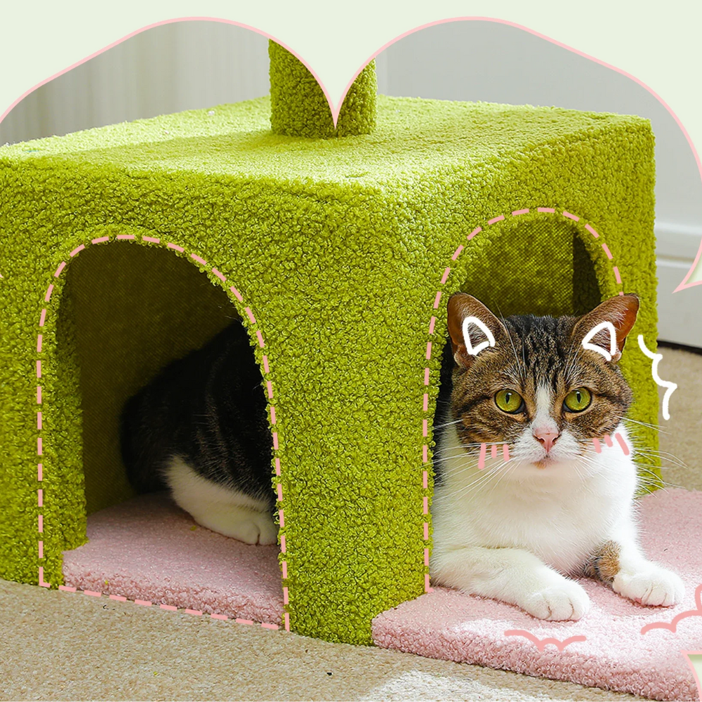 Arbre à chat Fleur Condo Hamac-MeowGriff