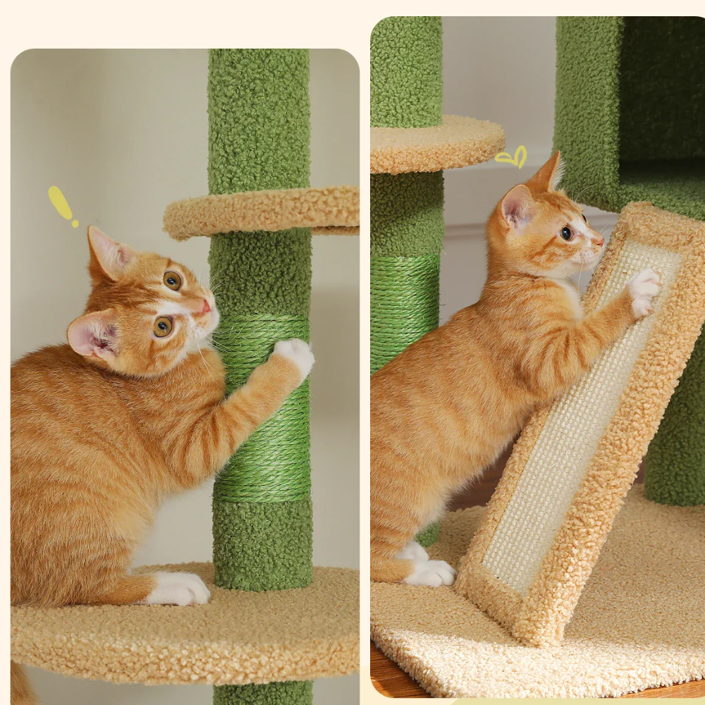 Tour pour chats Cactus Sky – Du sol au plafond-MeowGriff