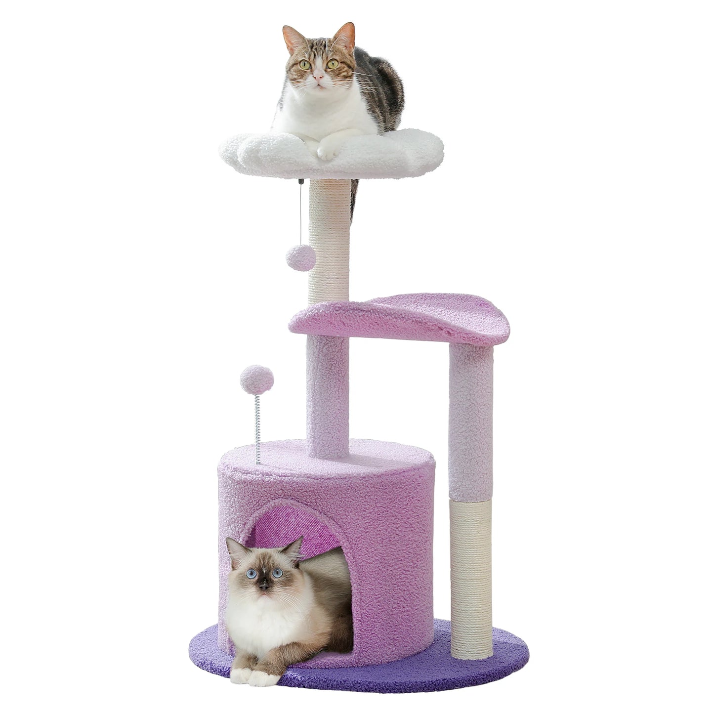 Arbre à chat cactus durable avec perchoir courbe, condo douillet, lit supérieur amovible, poteau à griffer en sisal naturel, tour pour chat d'intérieur.