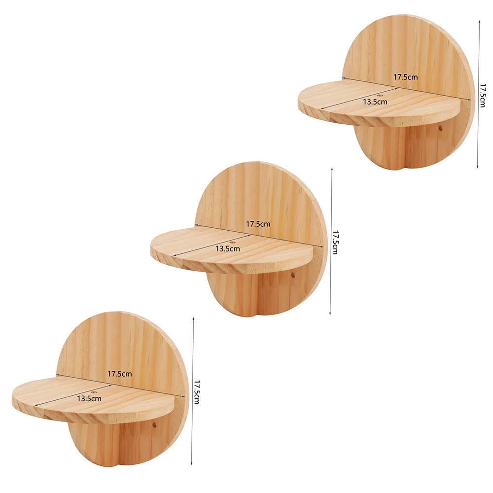 Arbre à chat en bois mural avec perchoirs flottants, poteaux à griffer en sisal, hamac, marches et échelle – Aire de jeux verticale pour chat peu encombrante