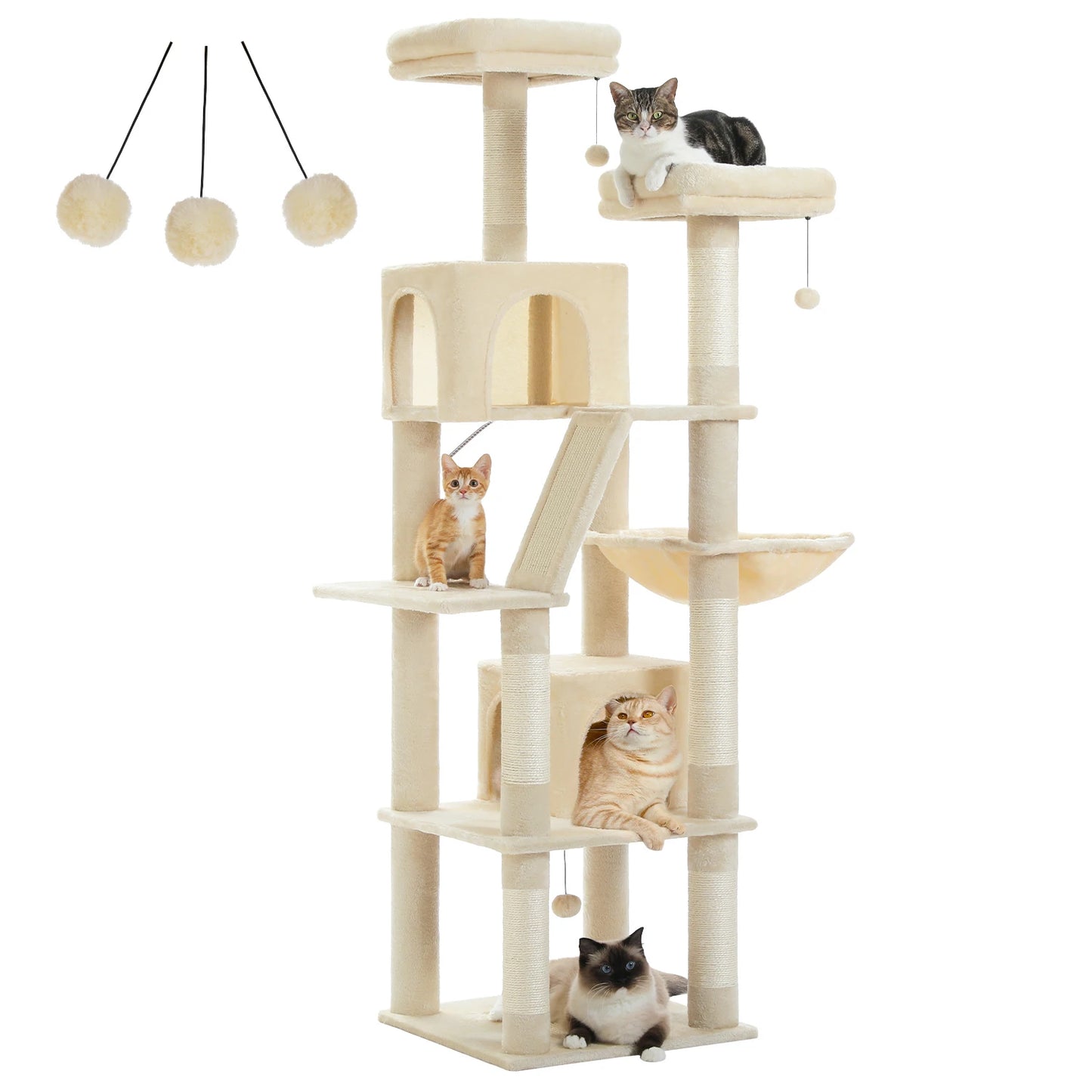 Grand Arbre à Chat