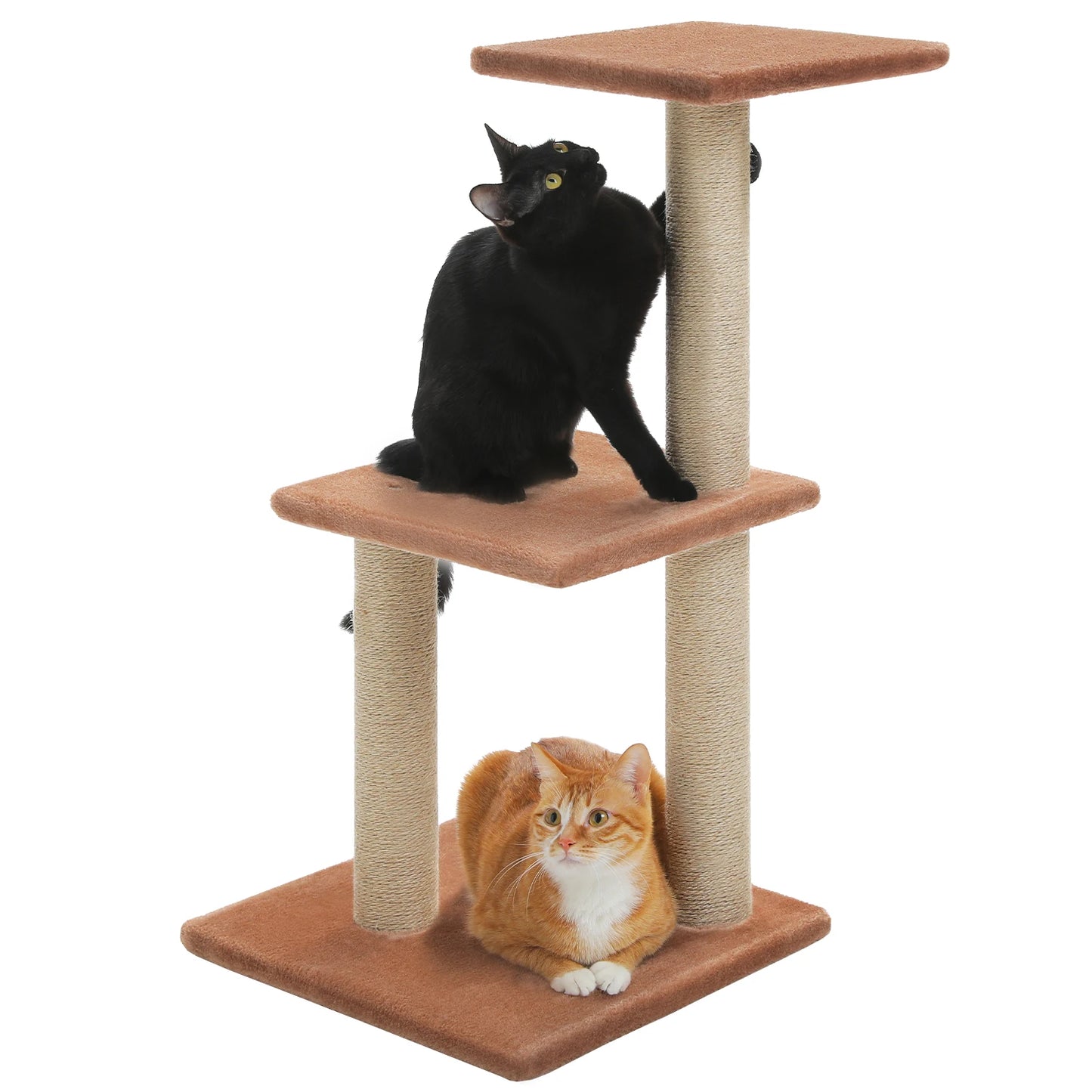 Tour pour chat réglable à 5 niveaux, du sol au plafond, avec poteaux à griffer en sisal, hamac en peluche et jouet suspendu – Design moderne en forme de cactus pour les jeux d'intérieur de plusieurs chats