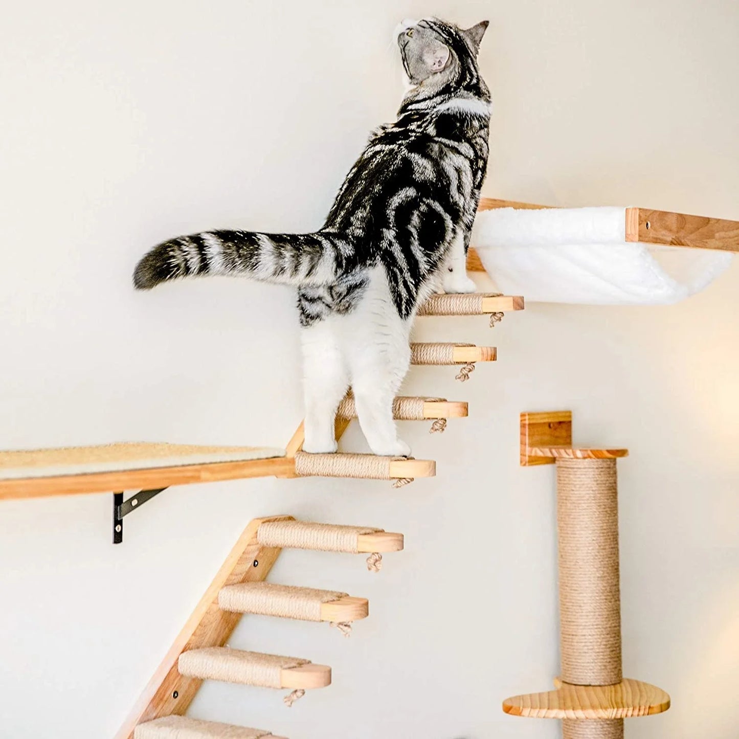 Hamac mural pour chat 1 pièce, lit pour chat en bois, étagères murales à griffer, plateforme d’escalade élevée, meuble arbre à chat d’intérieur.