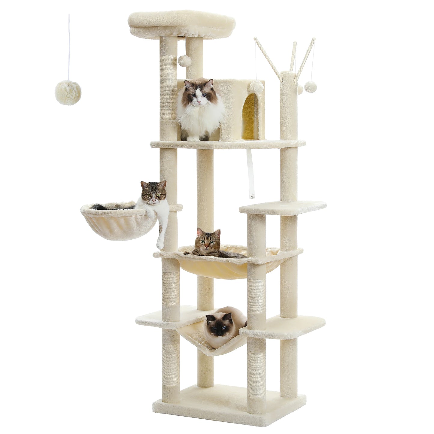 Grand Arbre à Chat