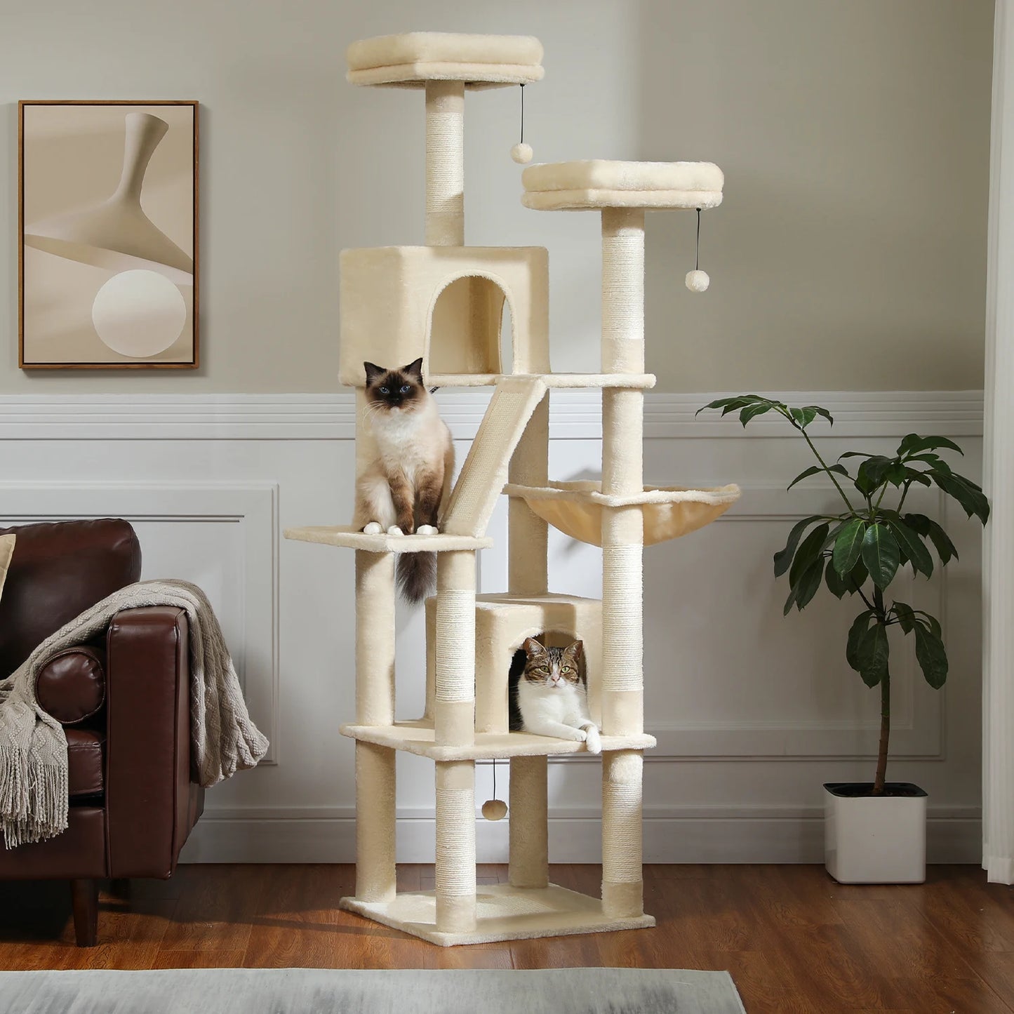 Grand Arbre à Chat