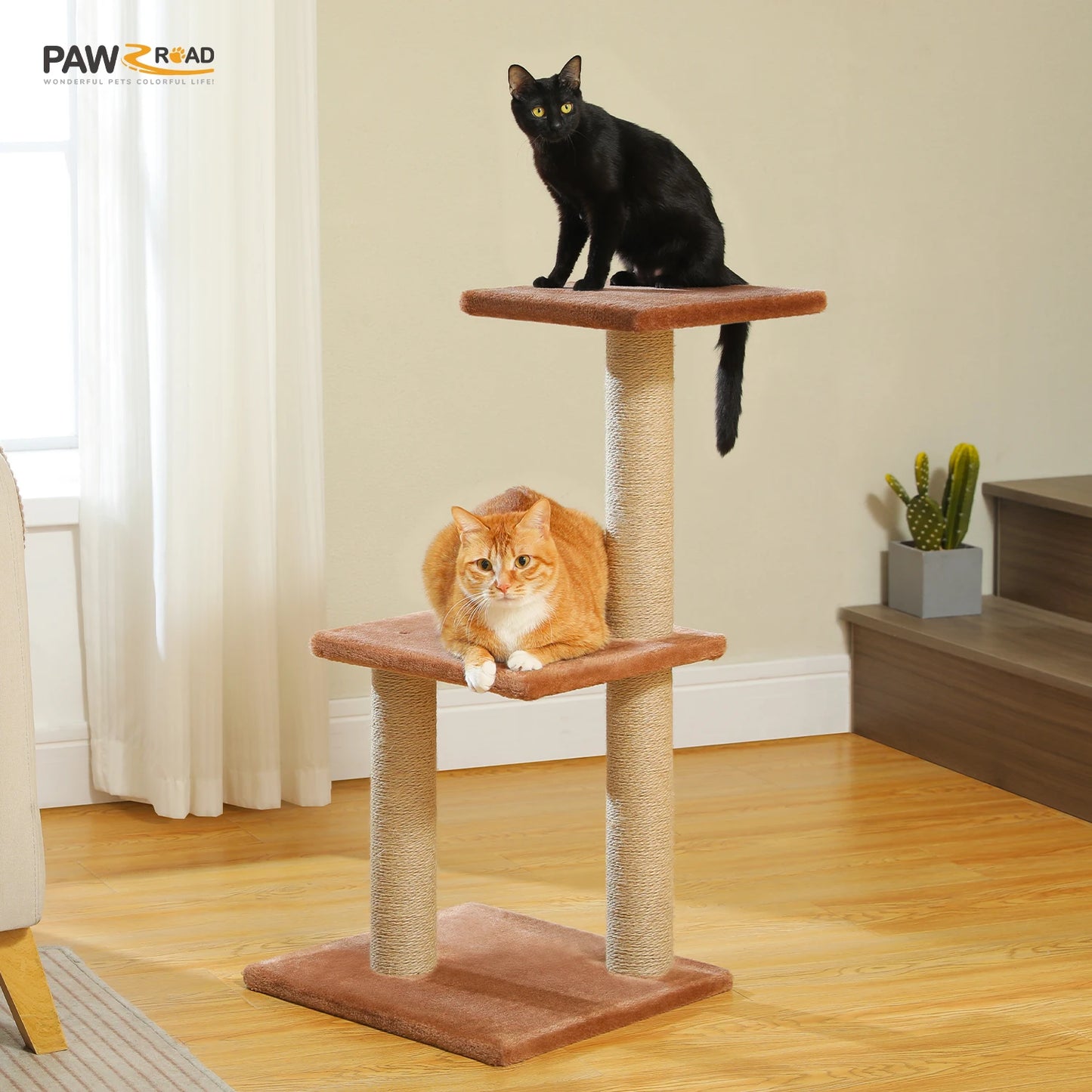 Tour pour chat réglable à 5 niveaux, du sol au plafond, avec poteaux à griffer en sisal, hamac en peluche et jouet suspendu – Design moderne en forme de cactus pour les jeux d'intérieur de plusieurs chats