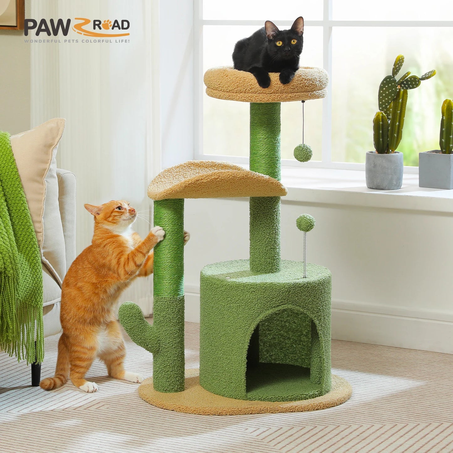 Arbre à chat cactus durable avec perchoir courbe, condo douillet, lit supérieur amovible, poteau à griffer en sisal naturel, tour pour chat d'intérieur.