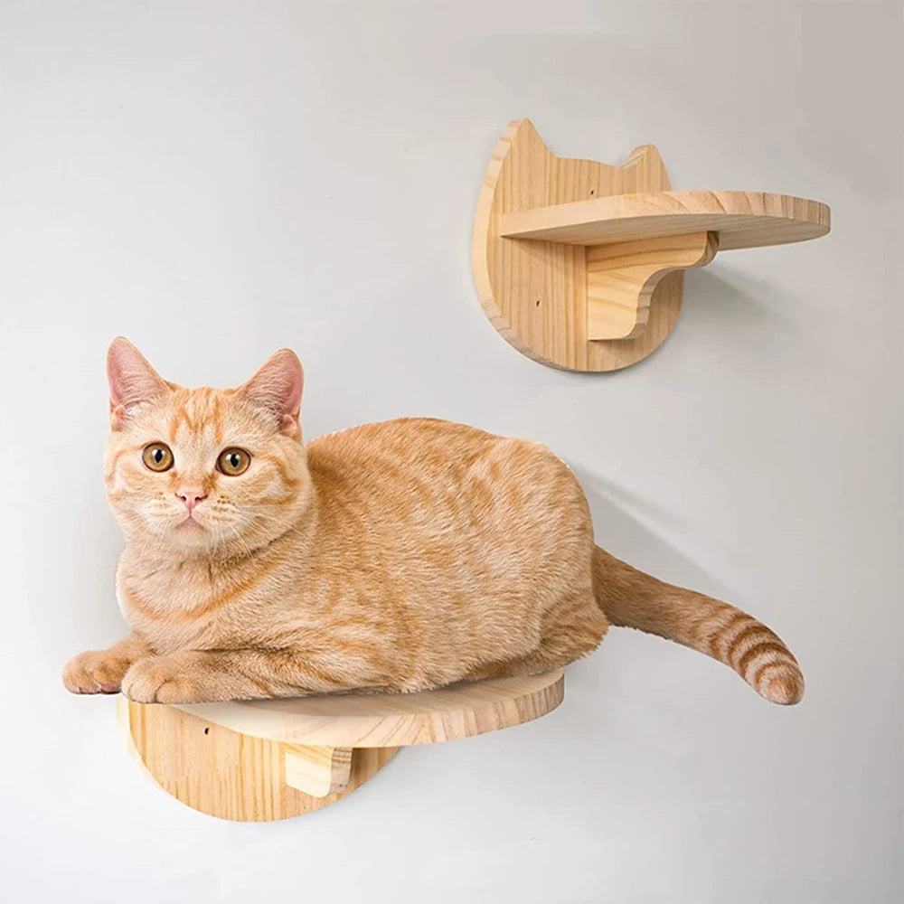 Étagère murale d’escalade pour chat avec échelle, marches, poteau à griffer en sisal, lit douillet et cachette – Tour d’arbre à chat modulaire d’intérieur et accessoires de mobilier pour animaux