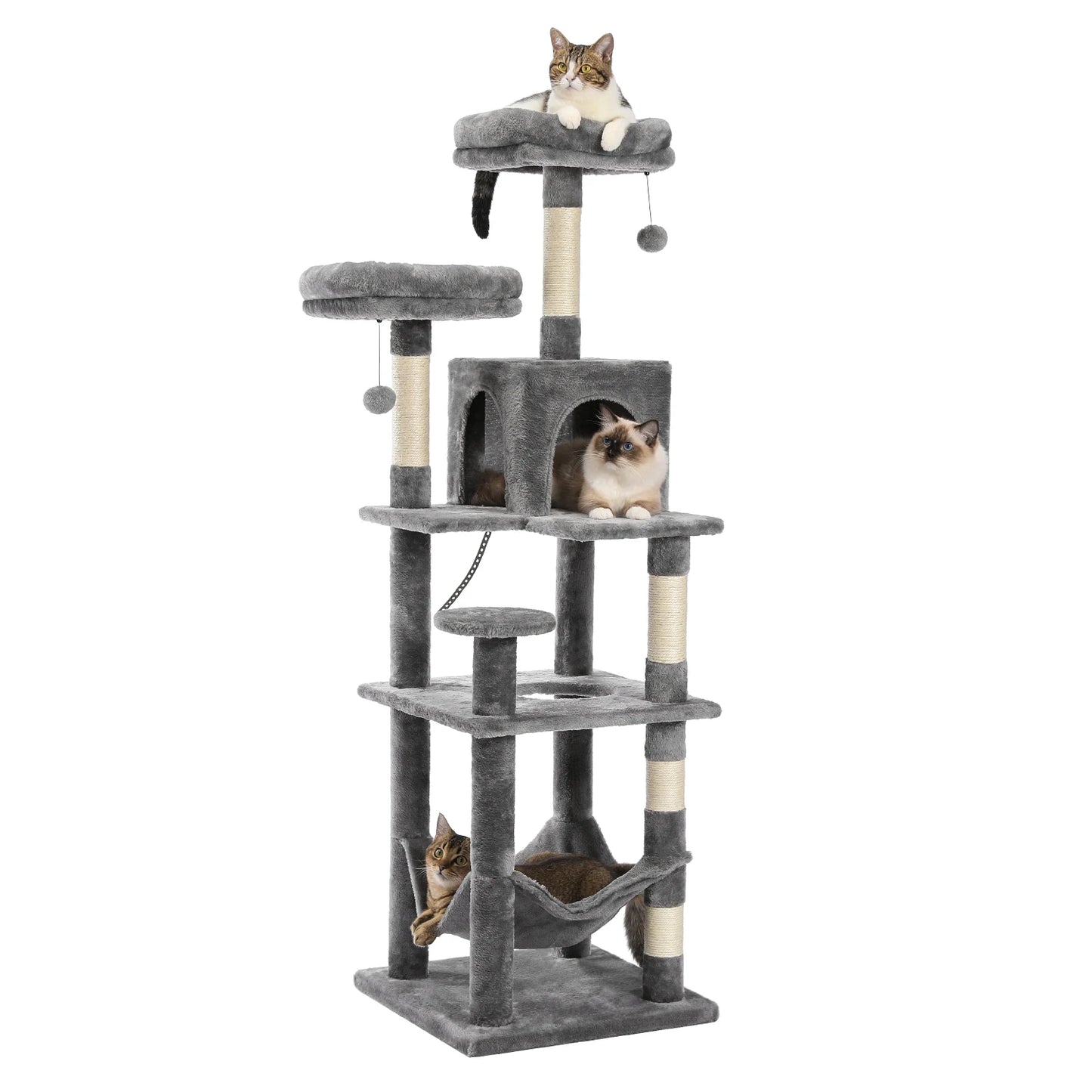 Grand Arbre à Chat