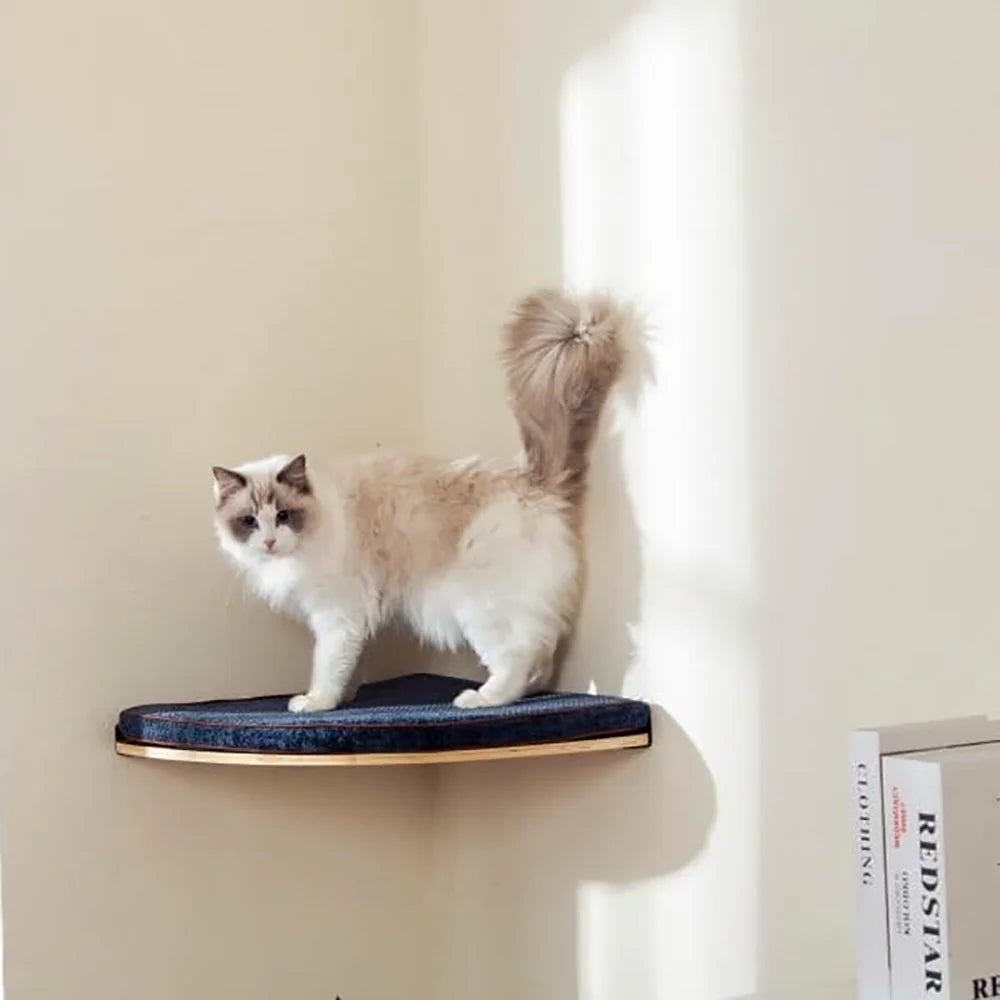 Arbre à chat en bois mural avec perchoirs flottants, poteaux à griffer en sisal, hamac, marches et échelle – Aire de jeux verticale pour chat peu encombrante