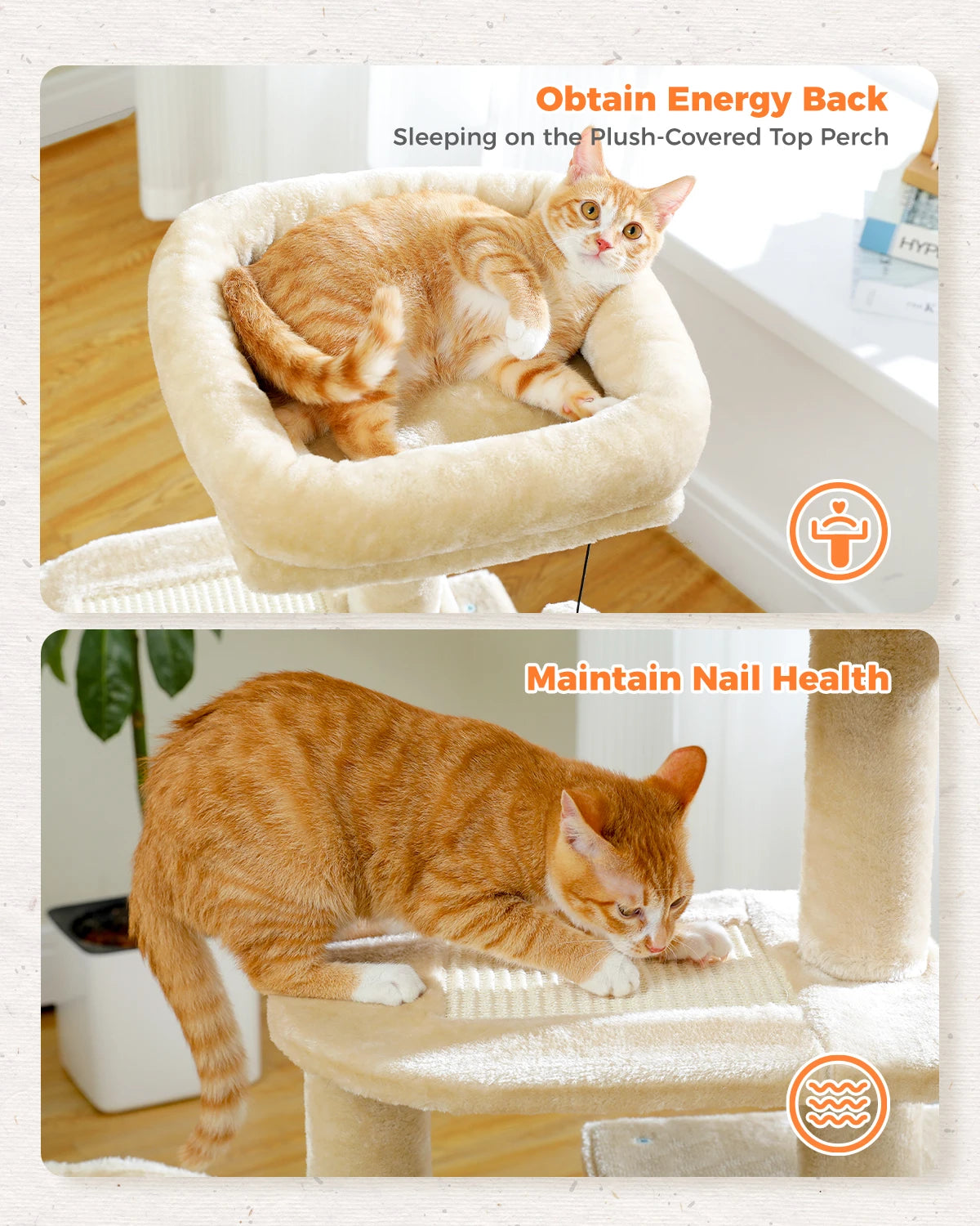 Tour pour chat réglable à 5 niveaux, du sol au plafond, avec poteaux à griffer en sisal, hamac en peluche et jouet suspendu – Design moderne en forme de cactus pour les jeux d'intérieur de plusieurs chats