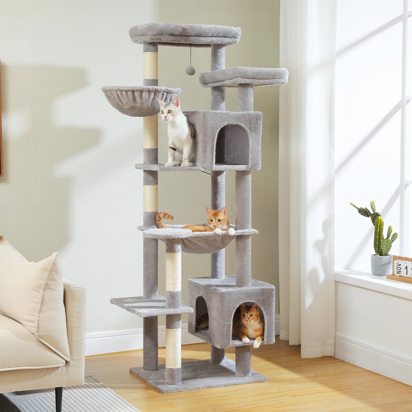 Grand Arbre à Chat