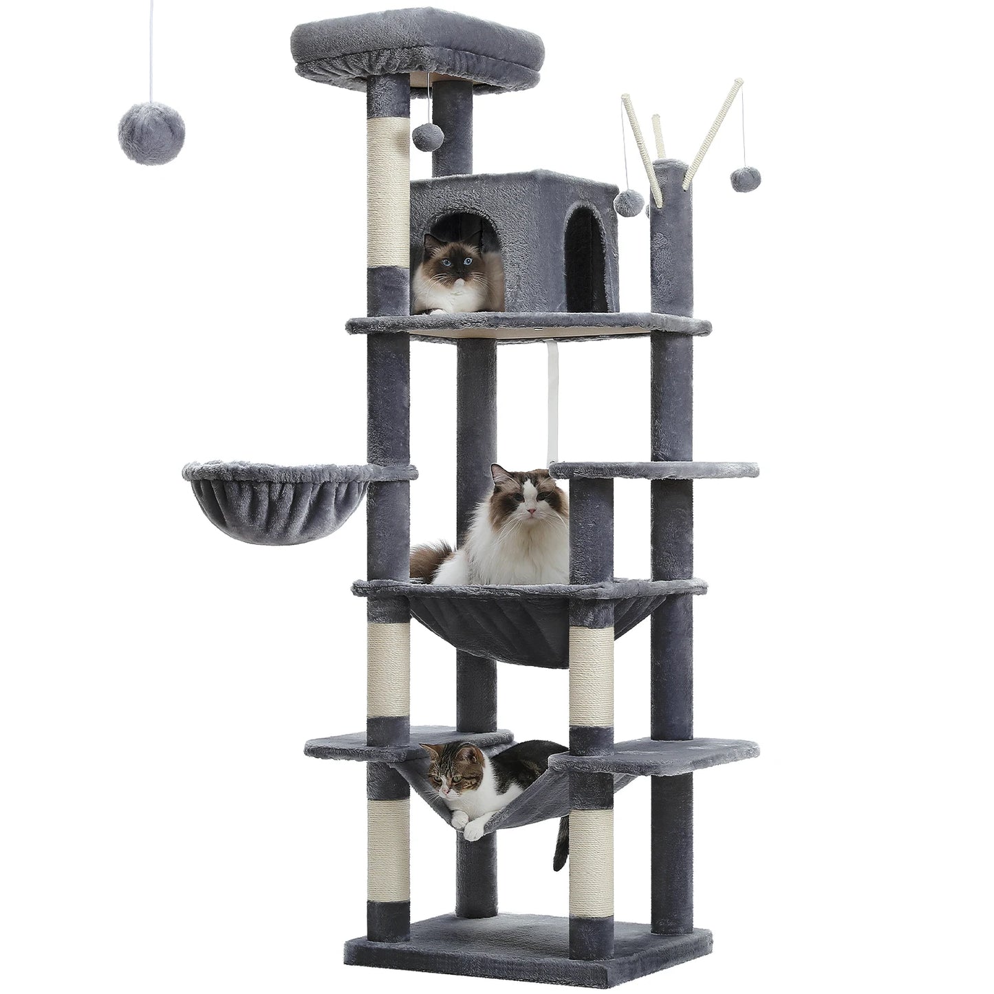 Grand Arbre à Chat