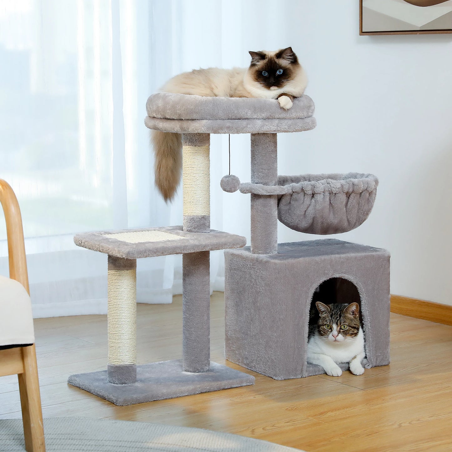 Tour pour chat réglable à 5 niveaux, du sol au plafond, avec poteaux à griffer en sisal, hamac en peluche et jouet suspendu – Design moderne en forme de cactus pour les jeux d'intérieur de plusieurs chats