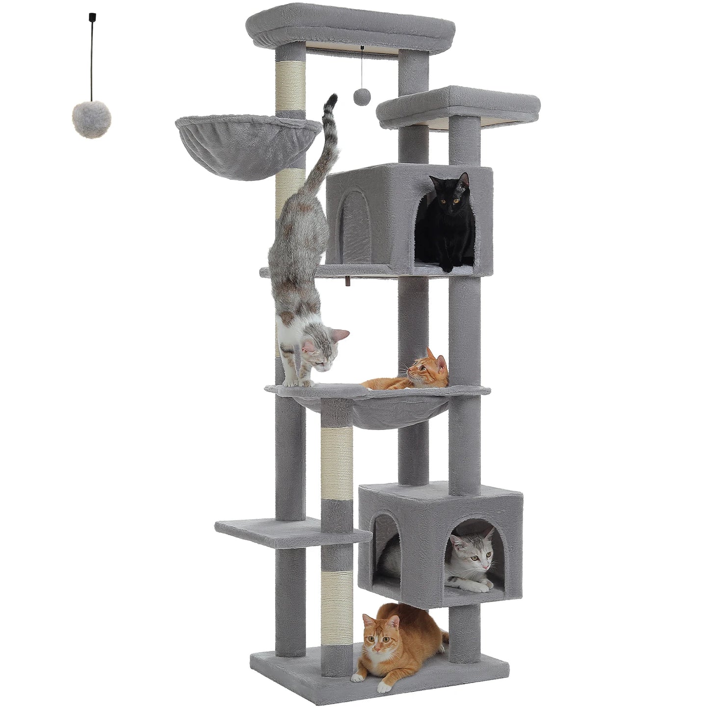 Grand Arbre à Chat