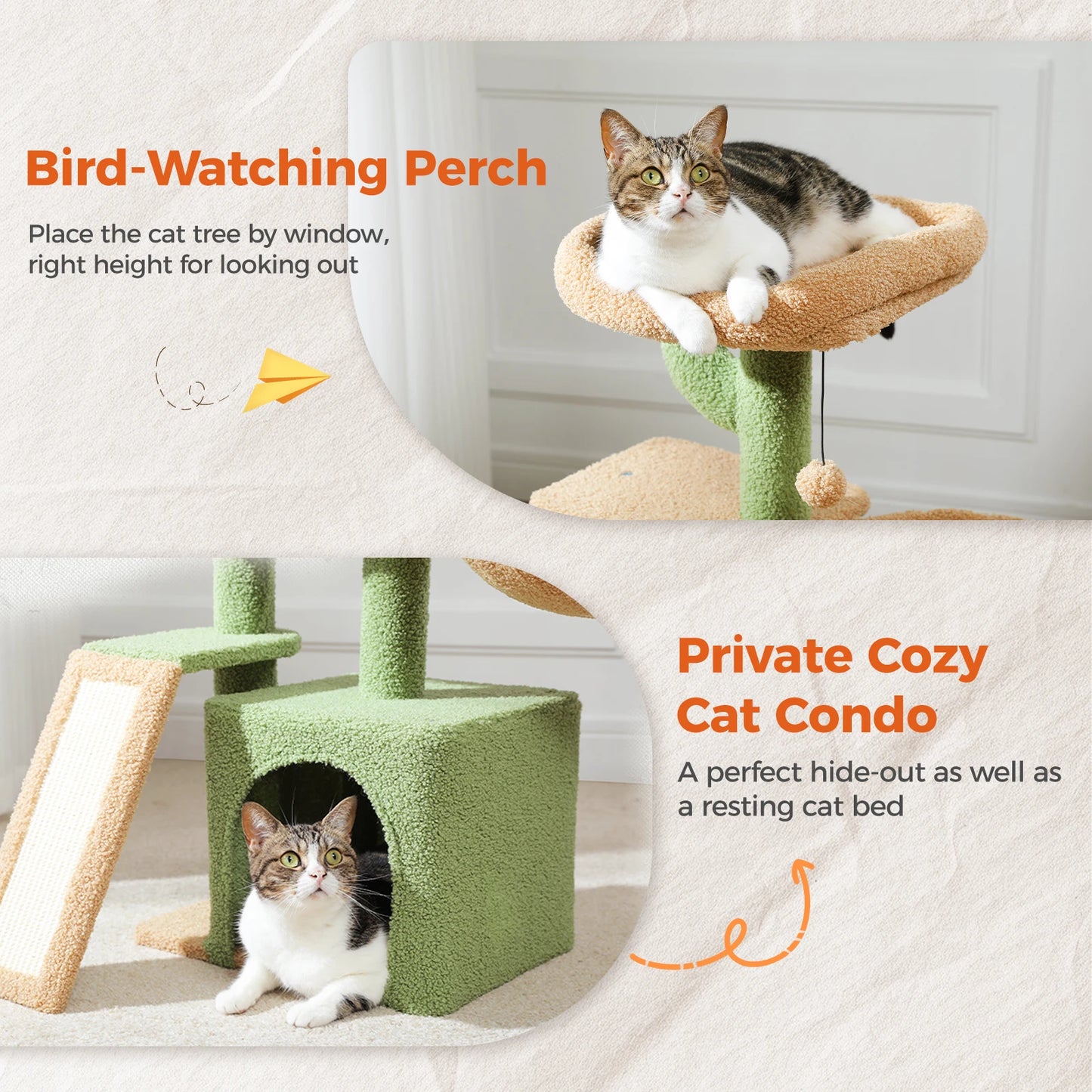 Arbre à chat tour cactus pour petits chats avec rampe à griffer en sisal, hamac douillet, condo pour chat et perchoir supérieur amovible – Aire de jeux compacte pour chat d’intérieur.
