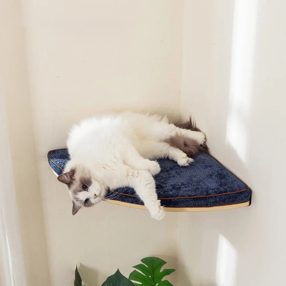 Arbre à chat en bois mural avec perchoirs flottants, poteaux à griffer en sisal, hamac, marches et échelle – Aire de jeux verticale pour chat peu encombrante