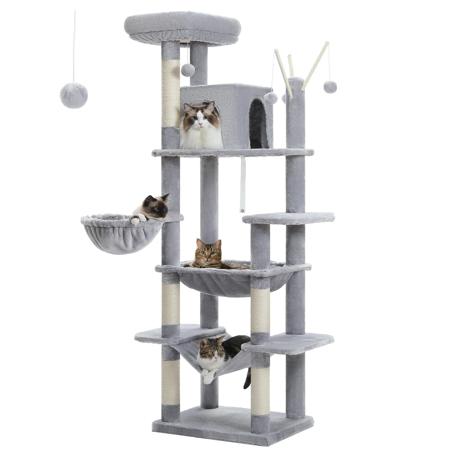 Grand Arbre à Chat