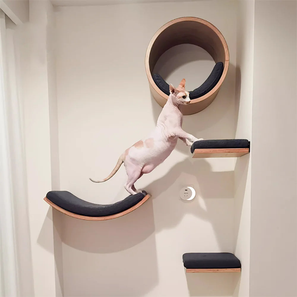 Arbre à chat en bois mural avec perchoirs flottants, poteaux à griffer en sisal, hamac, marches et échelle – Aire de jeux verticale pour chat peu encombrante