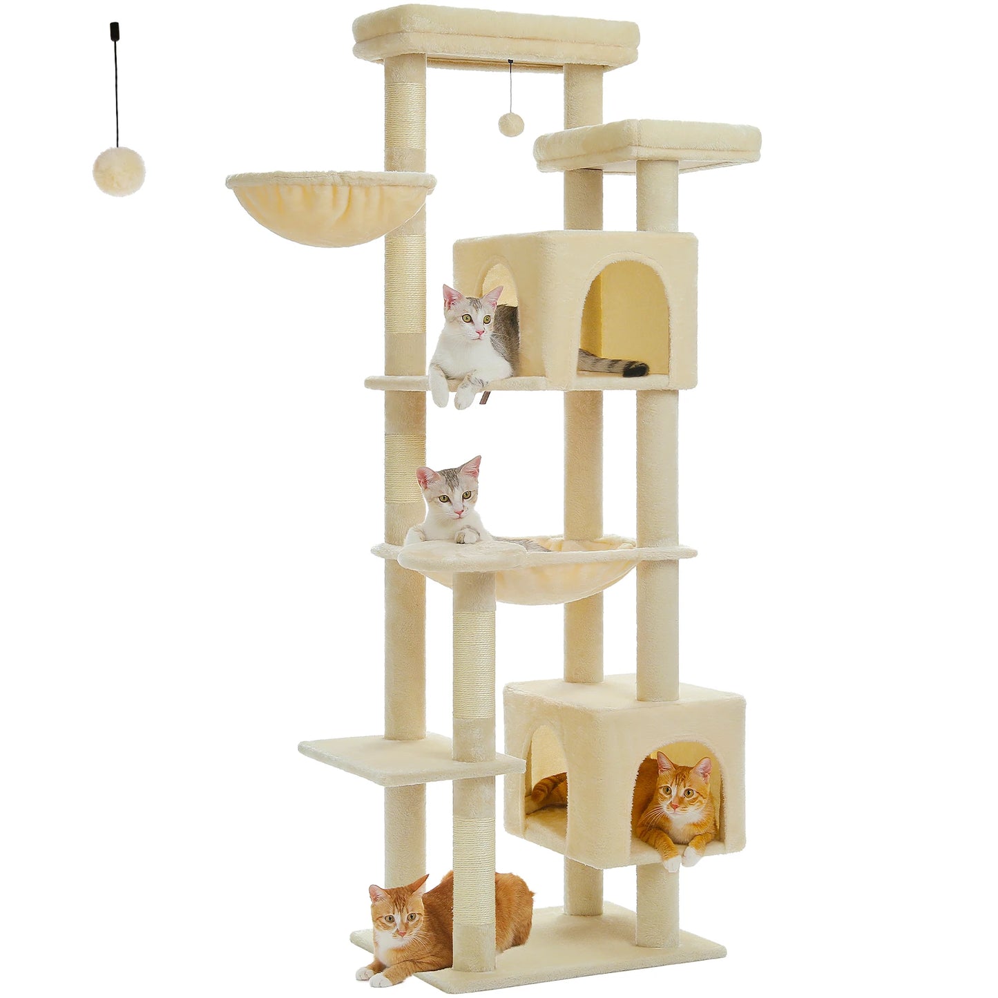 Grand Arbre à Chat