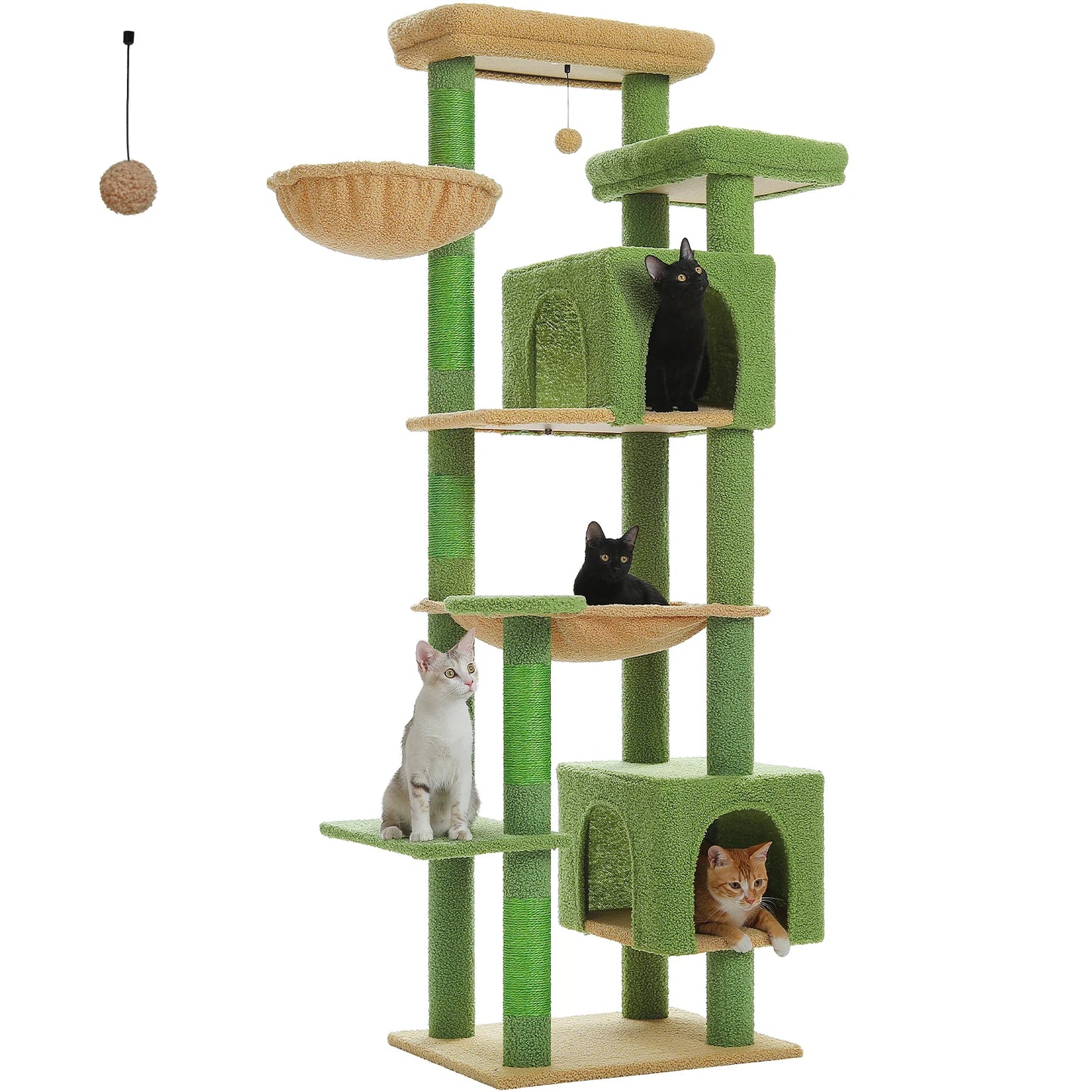 Grand Arbre à Chat