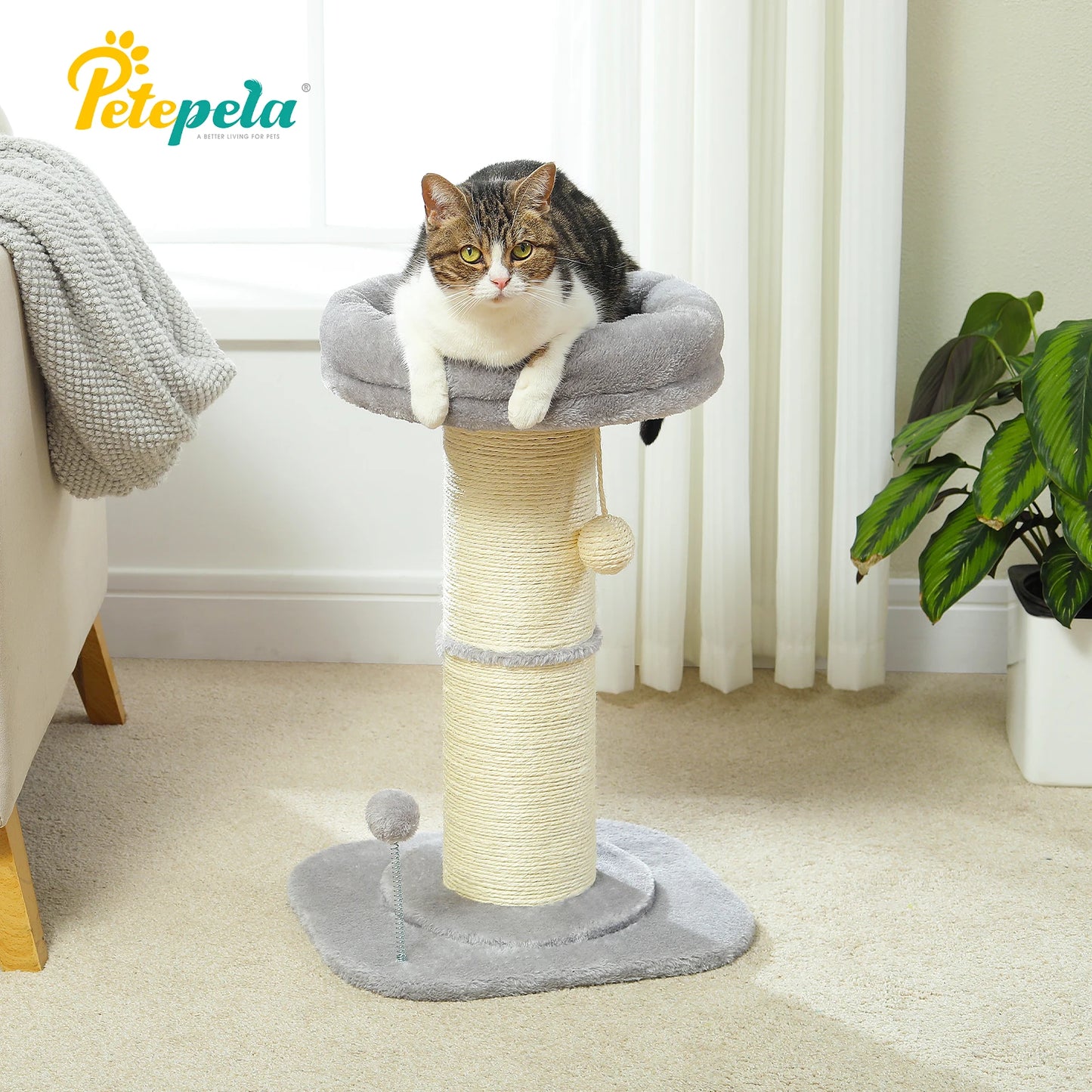 Arbre à chat fleur rose avec poteau à griffer en sisal naturel super épais, perchoir stable intérieur avec tapis et boules interactives.