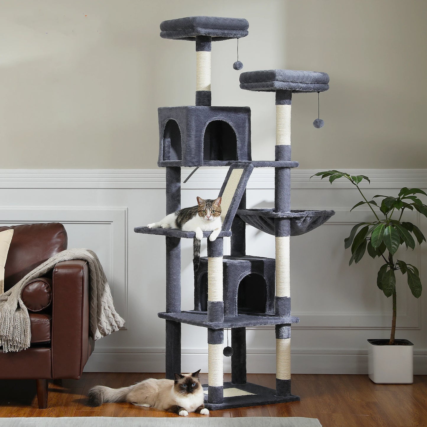 Grand Arbre à Chat