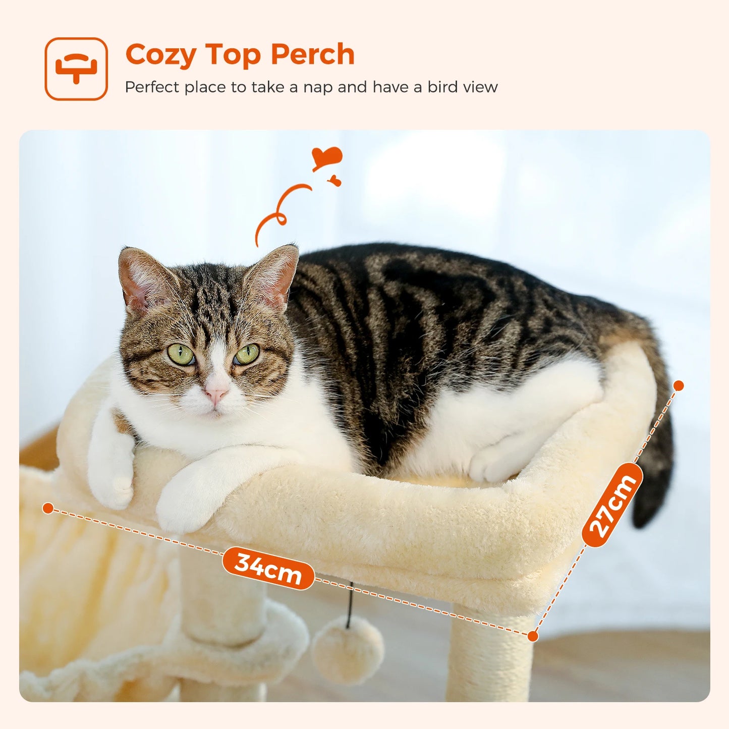 Tour pour chat réglable à 5 niveaux, du sol au plafond, avec poteaux à griffer en sisal, hamac en peluche et jouet suspendu – Design moderne en forme de cactus pour les jeux d'intérieur de plusieurs chats