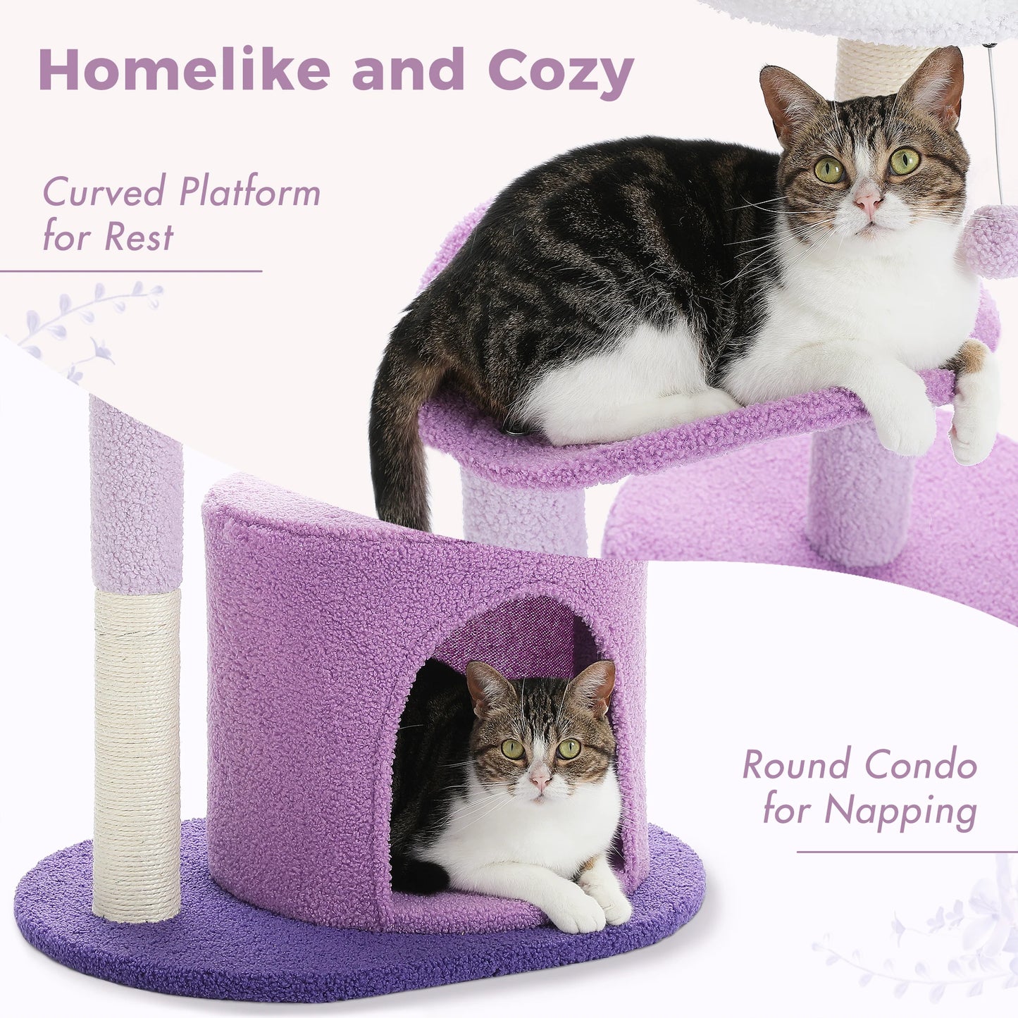 Arbre à chat cactus durable avec perchoir courbe, condo douillet, lit supérieur amovible, poteau à griffer en sisal naturel, tour pour chat d'intérieur.