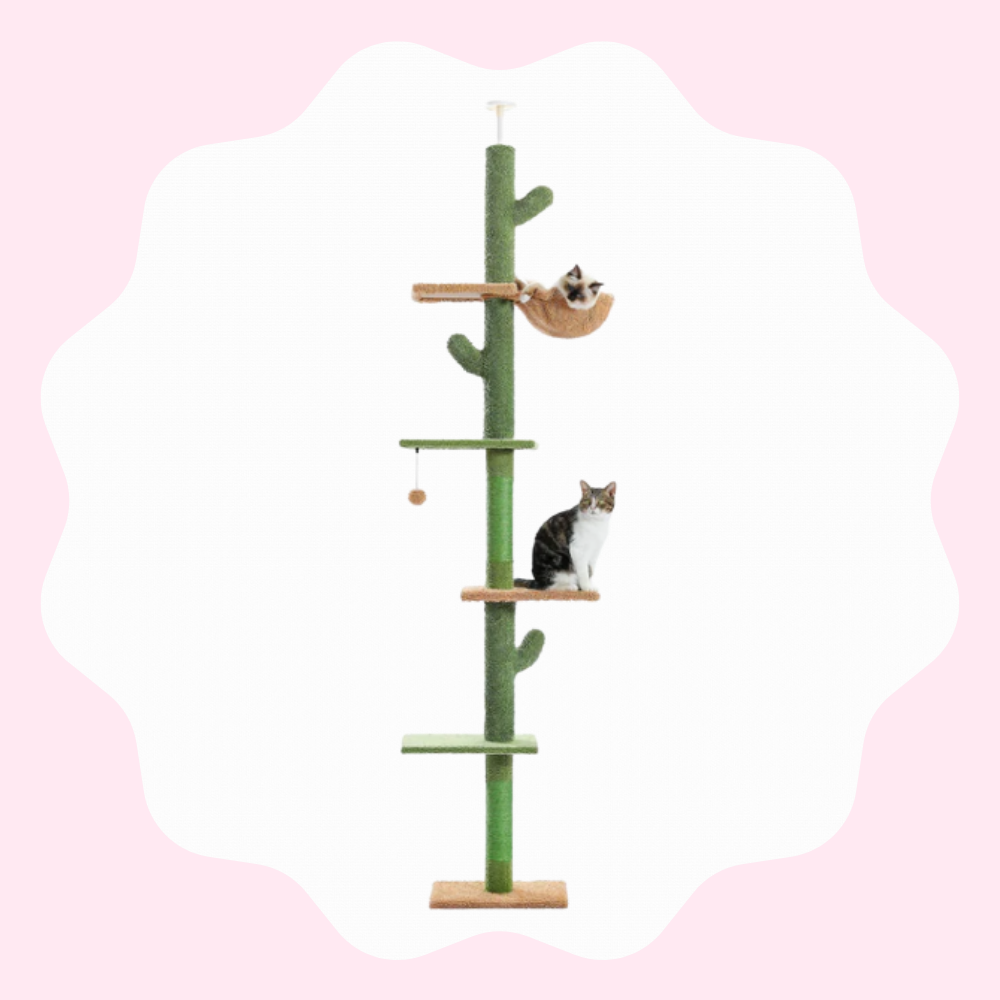 Arbre à chat Cactus Réglable Hamac