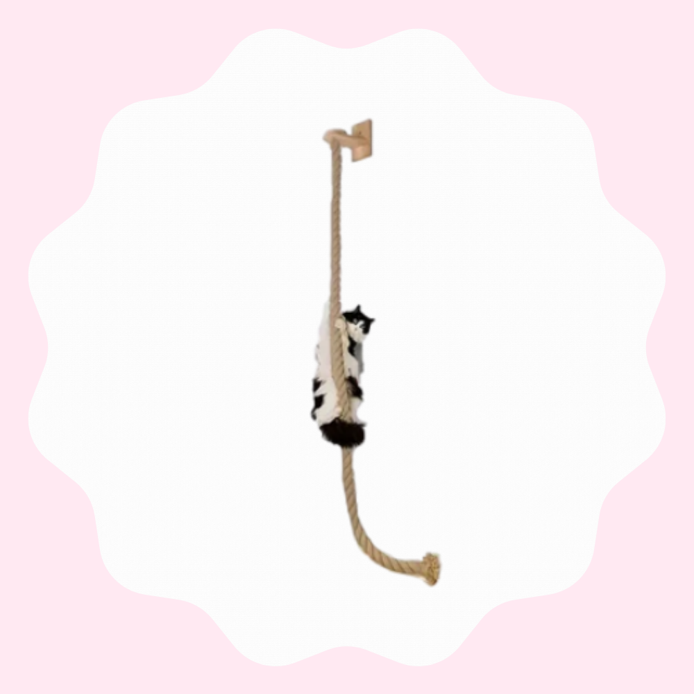 Corde à grimper en bois massif pour chat avec sisal