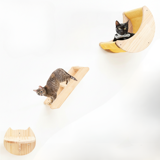 Étagère murale en forme de lune pour chat avec hamac et échelle