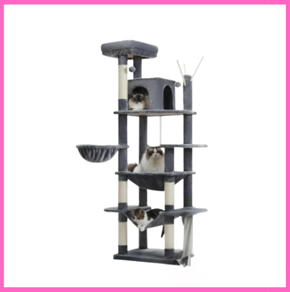 Grand Arbre à Chat