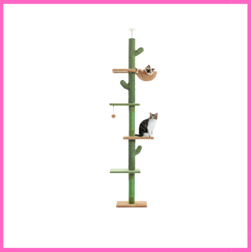 Arbre à chat Cactus Réglable Hamac