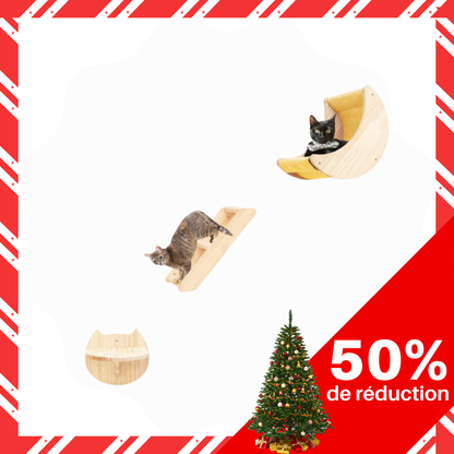 Étagère murale en forme de lune pour chat avec hamac et échelle