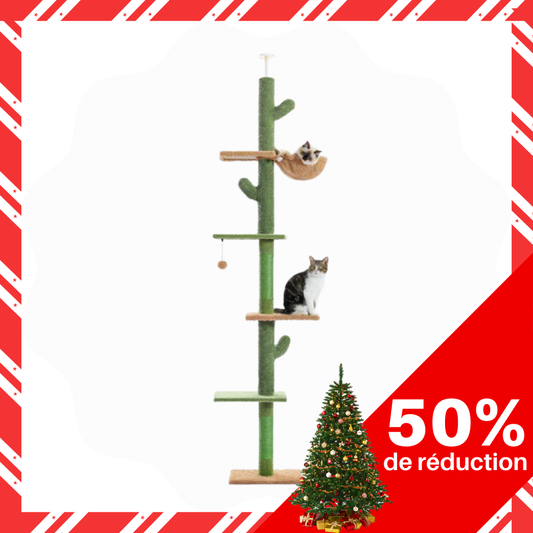 Arbre à chat Cactus Réglable Hamac