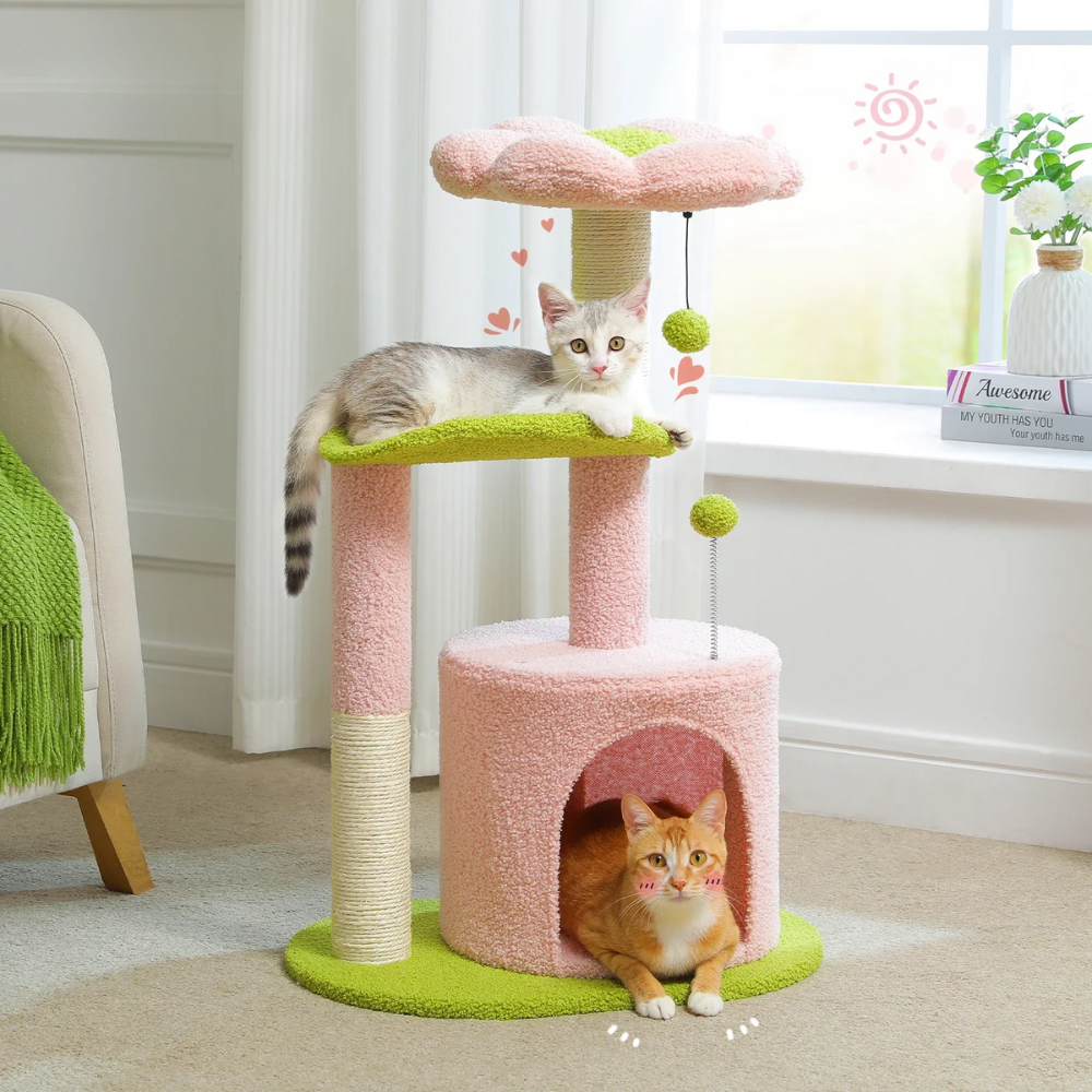 Arbre à chat moderne à plusieurs niveaux avec coins détente
