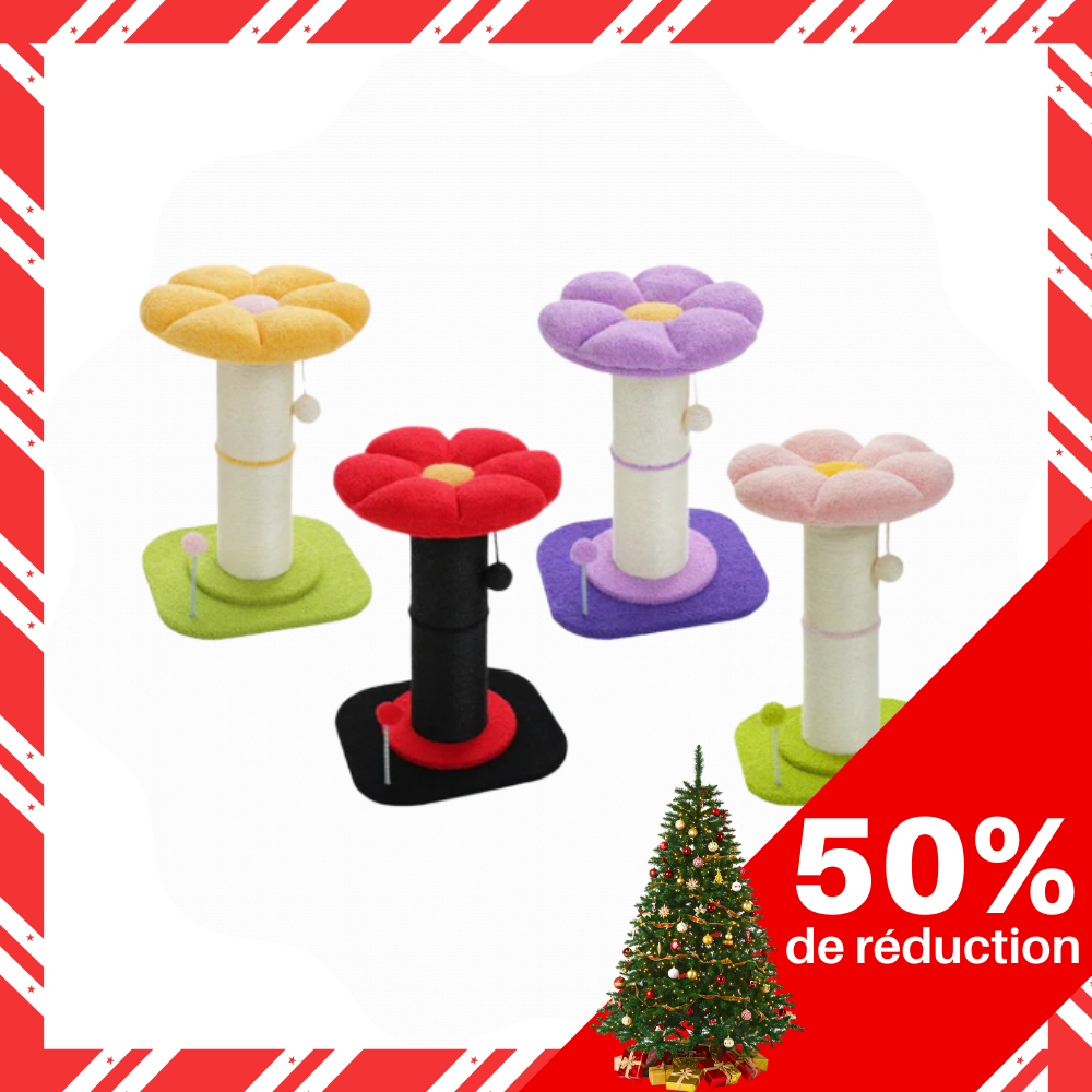 Arbre à chat en forme de fleur