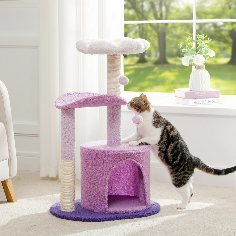 Arbre à chat moderne à plusieurs niveaux avec coins détente
