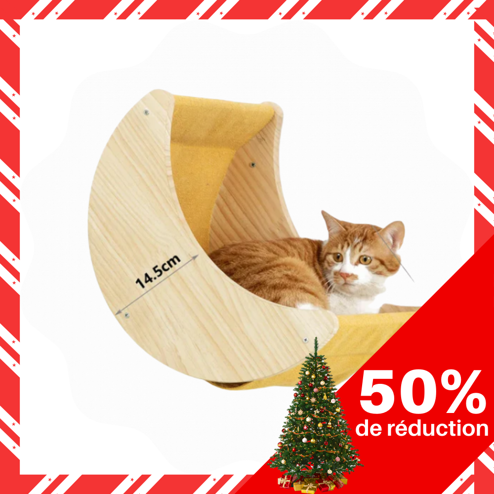 Arbre à chat mural en bois avec échelle, marches et hamac