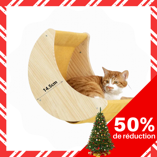 Arbre à chat mural en bois avec échelle, marches et hamac