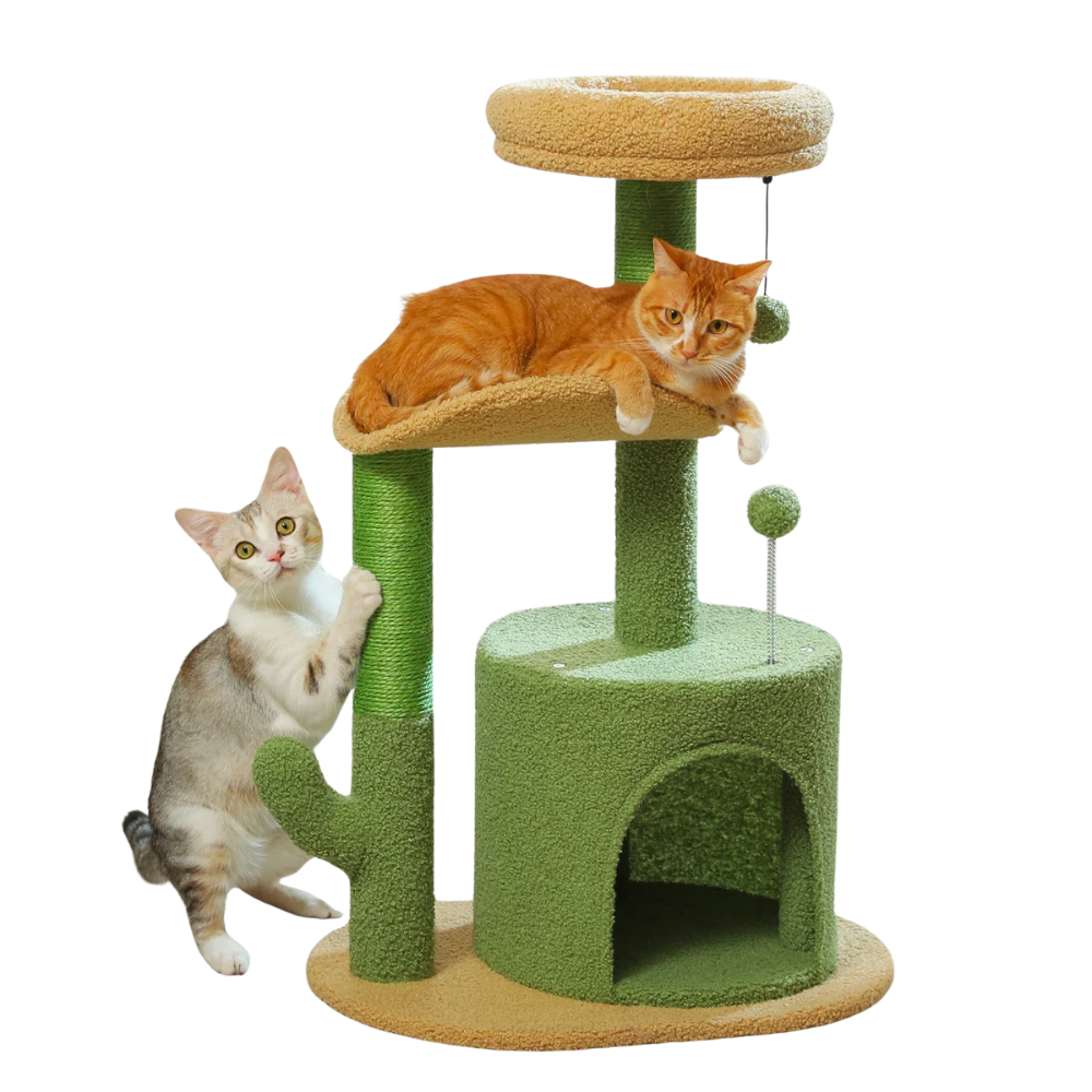Arbre à chat moderne à plusieurs niveaux avec coins détente