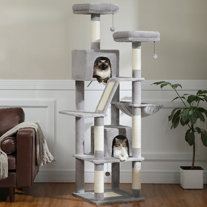 Grand Arbre à Chat